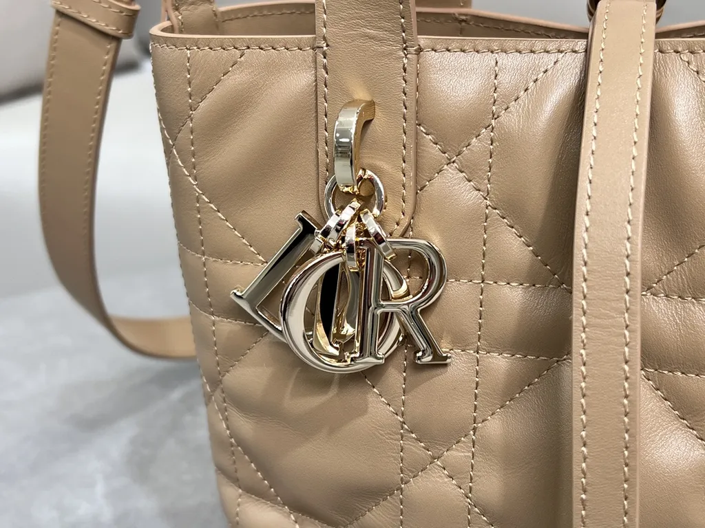 Dior Bag 